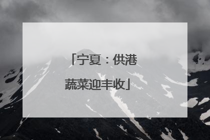 宁夏：供港蔬菜迎丰收