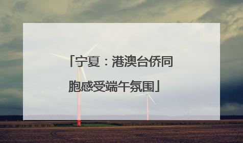宁夏：港澳台侨同胞感受端午氛围