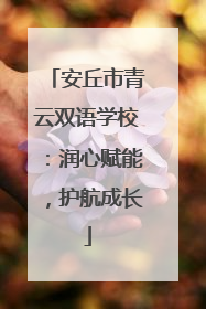 安丘市青云双语学校：润心赋能，护航成长