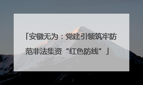 安徽无为：党建引领筑牢防范非法集资“红色防线”