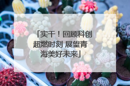 实干！回顾科创超燃时刻 展望青海美好未来