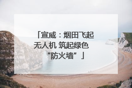 宣威：烟田飞起无人机 筑起绿色“防火墙”