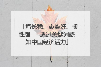 增长稳、态势好、韧性强……透过关键词感知中国经济活力