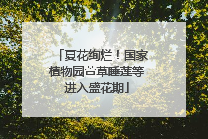 夏花绚烂！国家植物园萱草睡莲等进入盛花期