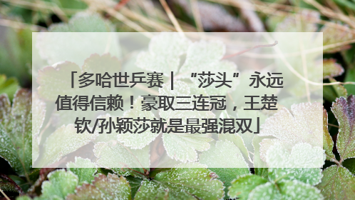 多哈世乒赛｜“莎头”永远值得信赖！豪取三连冠，王楚钦/孙颖莎就是最强混双