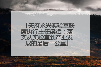 天府永兴实验室联席执行主任梁斌：落实从实验室到产业发展的最后一公里