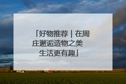 好物推荐｜在周庄邂逅造物之美 生活更有趣