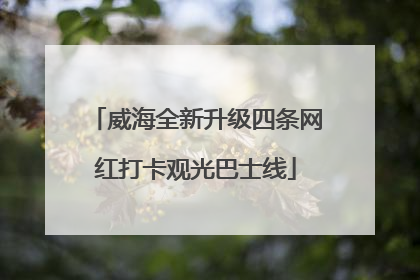 威海全新升级四条网红打卡观光巴士线