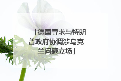 德国寻求与特朗普政府协调涉乌克兰问题立场