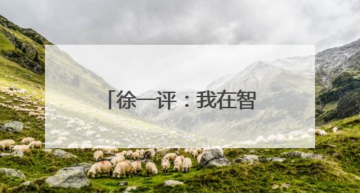 徐一评：我在智利建中国商城
