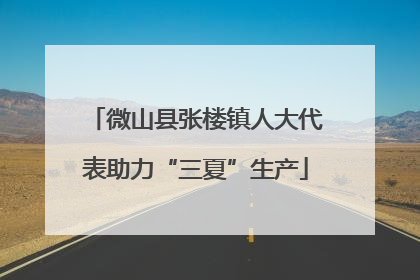 微山县张楼镇人大代表助力“三夏”生产