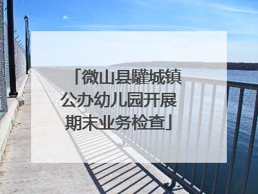 微山县驩城镇公办幼儿园开展期末业务检查