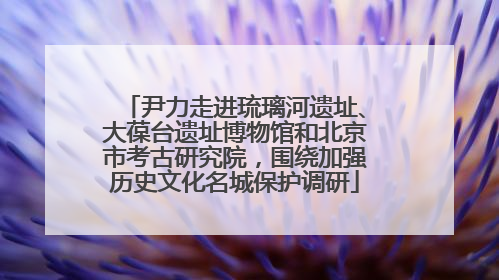 尹力走进琉璃河遗址、大葆台遗址博物馆和北京市考古研究院，围绕加强历史文化名城保护调研