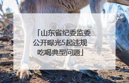 山东省纪委监委公开曝光5起违规吃喝典型问题