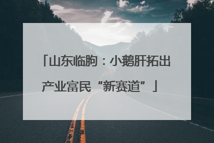 山东临朐：小鹅肝拓出产业富民“新赛道”
