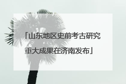 山东地区史前考古研究重大成果在济南发布