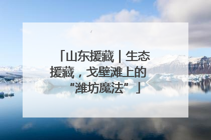 山东援藏｜生态援藏，戈壁滩上的“潍坊魔法”