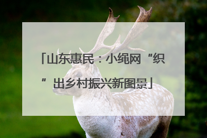 山东惠民：小绳网“织”出乡村振兴新图景