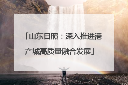 山东日照：深入推进港产城高质量融合发展