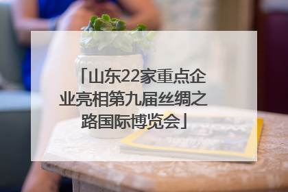 山东22家重点企业亮相第九届丝绸之路国际博览会