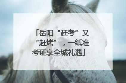 岳阳“赶考”又“赶烤”，一纸准考证享全城礼遇