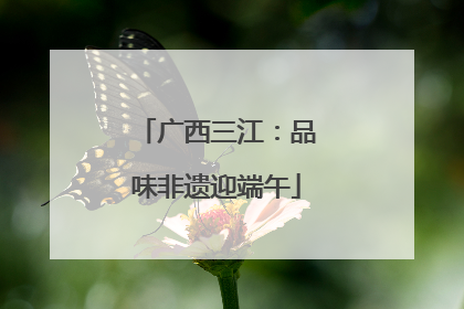 广西三江：品味非遗迎端午