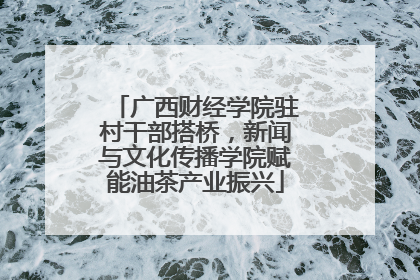 广西财经学院驻村干部搭桥，新闻与文化传播学院赋能油茶产业振兴