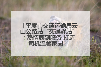 平度市交通运输局云山公路站“交通驿站”：热情周到服务 打造司机温馨家园