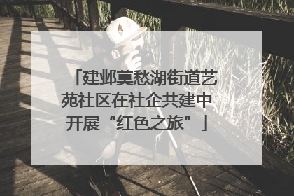 建邺莫愁湖街道艺苑社区在社企共建中开展“红色之旅”