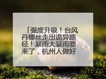 强度升级！台风丹娜丝走出诡异路径！暴雨大暴雨要来了，杭州人做好准备！