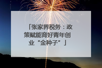 张家界税务：政策赋能育好青年创业“金种子”