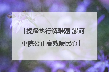 提级执行解难题 漯河中院公正高效暖民心