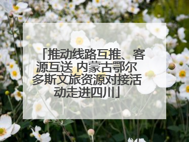推动线路互推、客源互送 内蒙古鄂尔多斯文旅资源对接活动走进四川