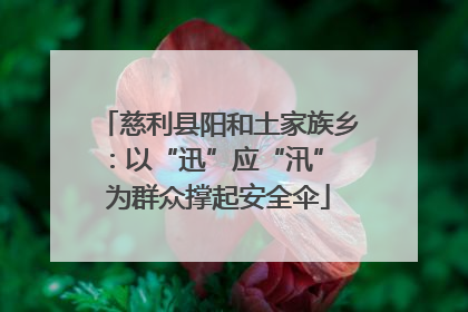 慈利县阳和土家族乡：以“迅”应“汛” 为群众撑起安全伞