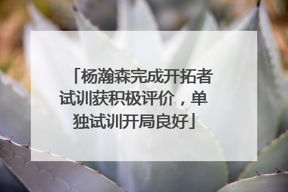 杨瀚森完成开拓者试训获积极评价，单独试训开局良好
