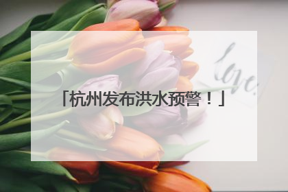 杭州发布洪水预警！