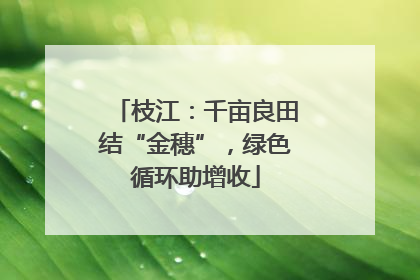 枝江：千亩良田结“金穗”，绿色循环助增收