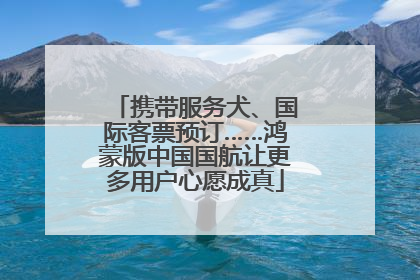 携带服务犬、国际客票预订……鸿蒙版中国国航让更多用户心愿成真