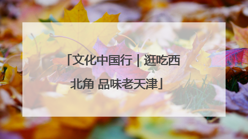 文化中国行｜逛吃西北角 品味老天津
