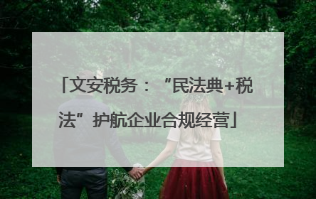 文安税务：“民法典+税法”护航企业合规经营