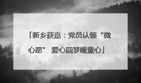 新乡获嘉：党员认领“微心愿” 爱心圆梦暖童心