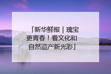 新华鲜报｜瑰宝更青春！看文化和自然遗产新光彩