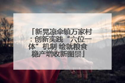 新晃凉伞镇万家村：创新实践“六位一体”机制 绘就粮食稳产增收新图景