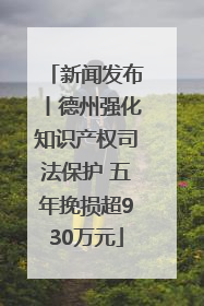 新闻发布丨德州强化知识产权司法保护 五年挽损超930万元