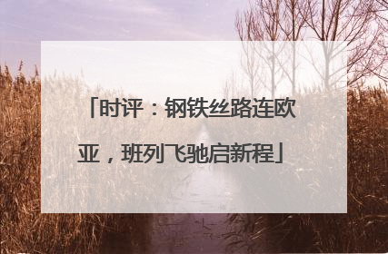 时评：钢铁丝路连欧亚，班列飞驰启新程
