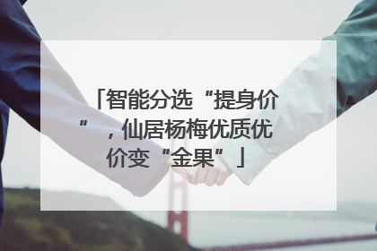 智能分选“提身价”，仙居杨梅优质优价变“金果”
