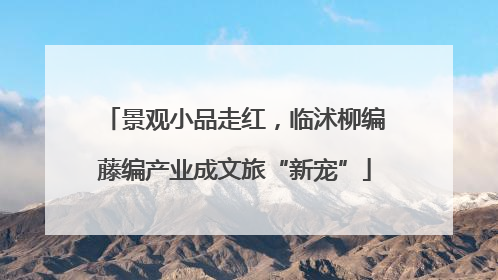 景观小品走红，临沭柳编藤编产业成文旅“新宠”