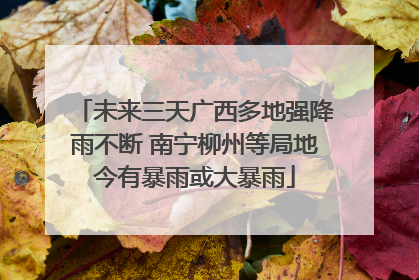 未来三天广西多地强降雨不断 南宁柳州等局地今有暴雨或大暴雨