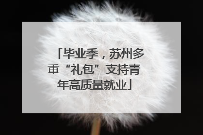 毕业季，苏州多重“礼包”支持青年高质量就业