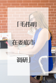 毛伟明在娄底市调研